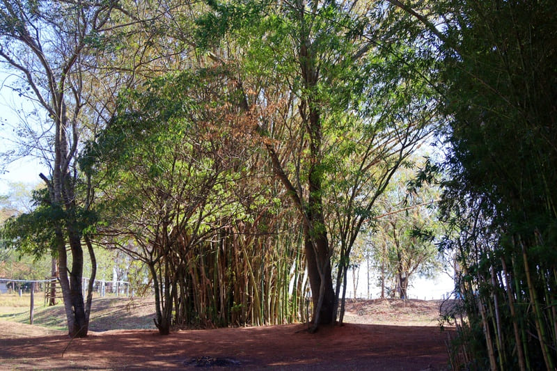 Mineradora 4 Fontes