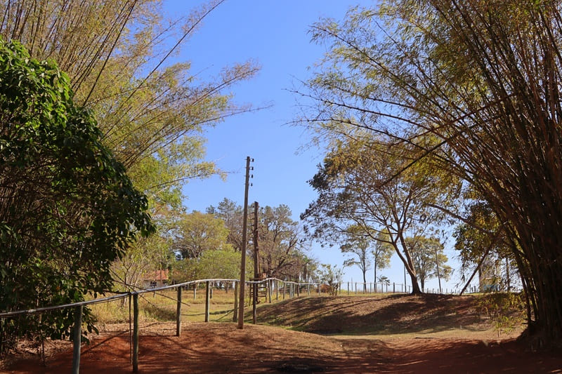 Mineradora 4 Fontes